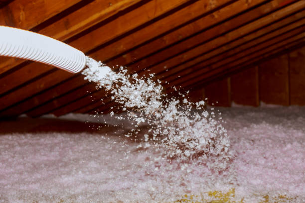 Best Specialized Insulation Services in Helena Valley Northeast, MT