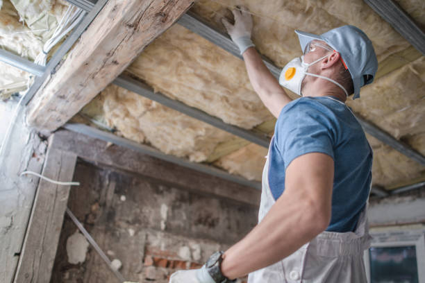 Professional Insulation Contractor in Helena Valley Northeast, MT