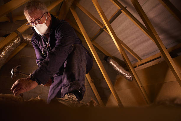 Best Eco-Friendly Insulation in Helena Valley Northeast, MT